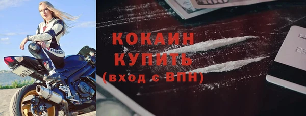 прущие грибы Горно-Алтайск