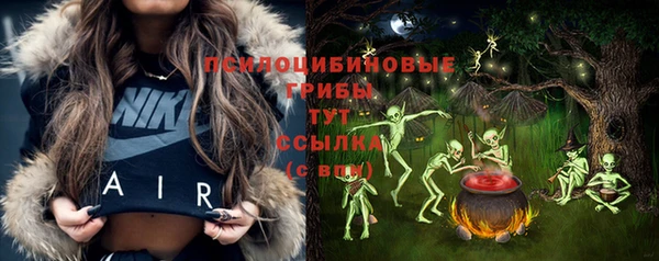 прущие грибы Горно-Алтайск