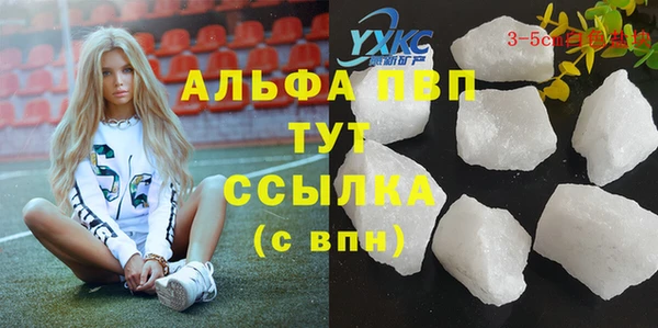 прущие грибы Горно-Алтайск