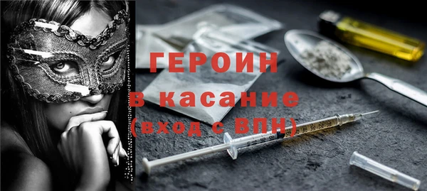 прущие грибы Горно-Алтайск