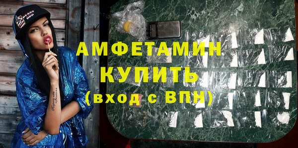 прущие грибы Горно-Алтайск