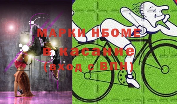 прущие грибы Горно-Алтайск
