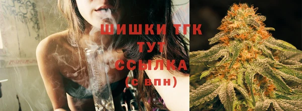 прущие грибы Горно-Алтайск