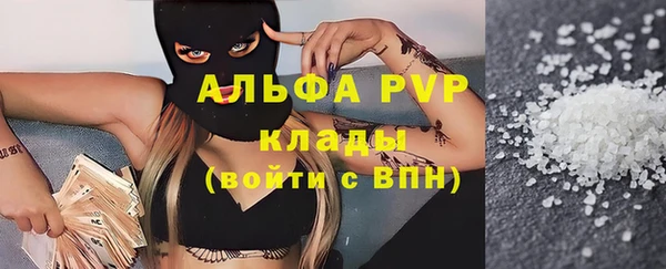 прущие грибы Горно-Алтайск