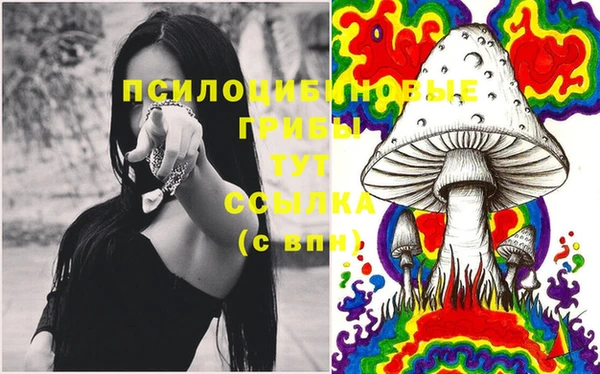 прущие грибы Горно-Алтайск