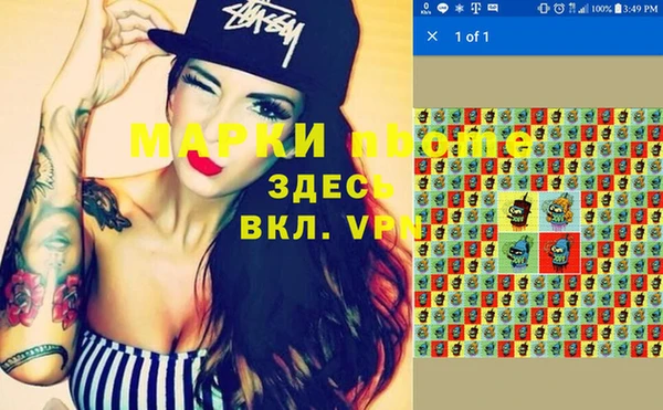прущие грибы Горно-Алтайск